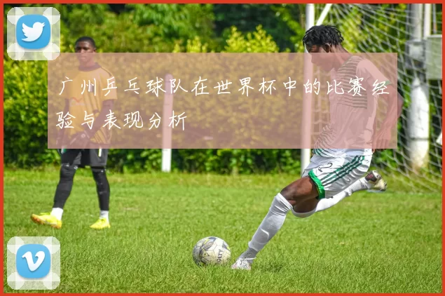 广州乒乓球队在世界杯中的比赛经验与表现分析