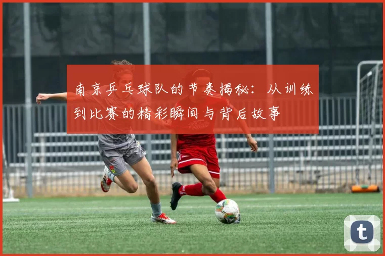南京乒乓球队的节奏揭秘：从训练到比赛的精彩瞬间与背后故事