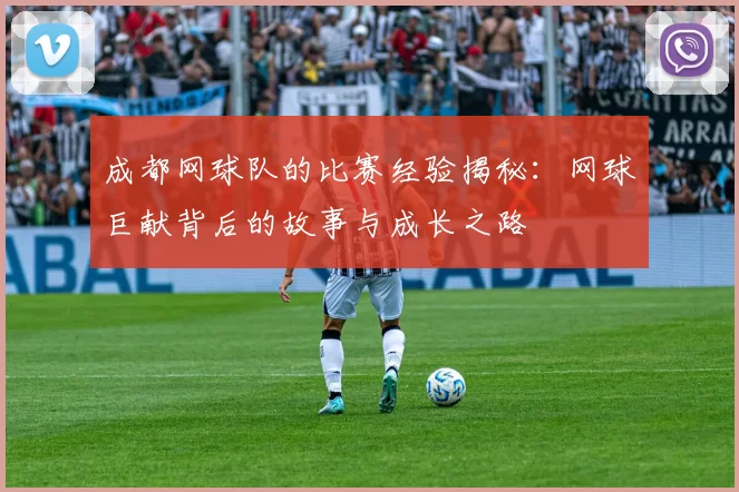 成都网球队的比赛经验揭秘：网球巨献背后的故事与成长之路