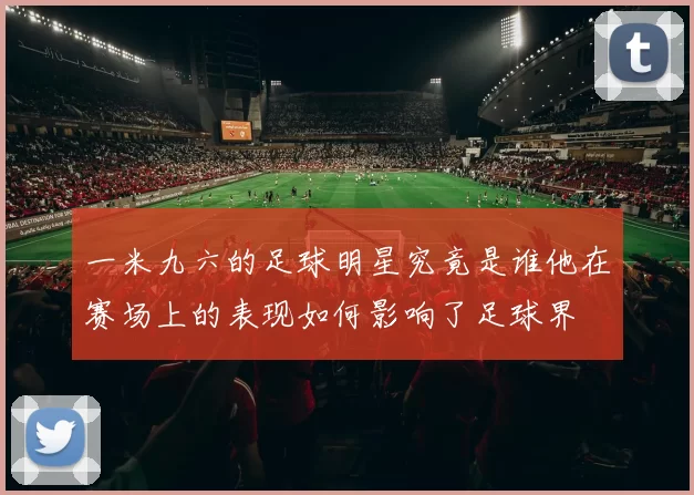 一米九六的足球明星究竟是谁他在赛场上的表现如何影响了足球界