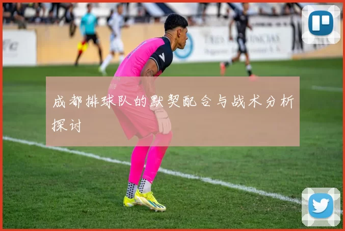 成都排球队的默契配合与战术分析探讨