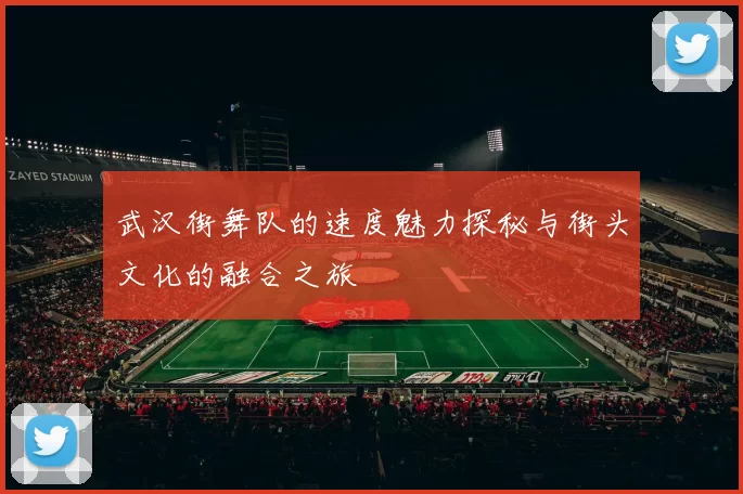 武汉街舞队的速度魅力探秘与街头文化的融合之旅