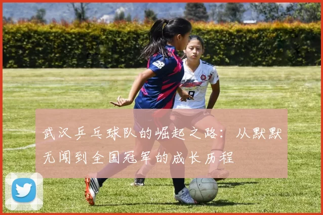 武汉乒乓球队的崛起之路：从默默无闻到全国冠军的成长历程