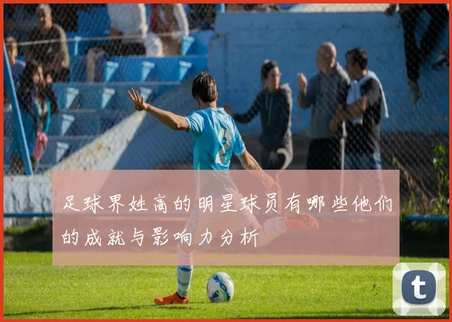 足球界姓高的明星球员有哪些他们的成就与影响力分析