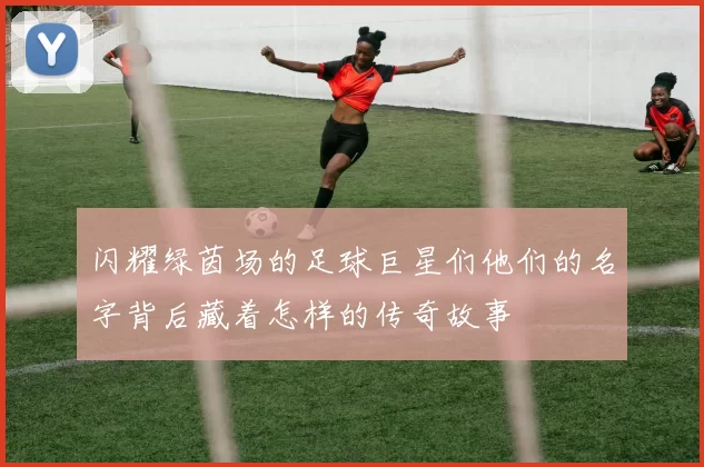 闪耀绿茵场的足球巨星们他们的名字背后藏着怎样的传奇故事