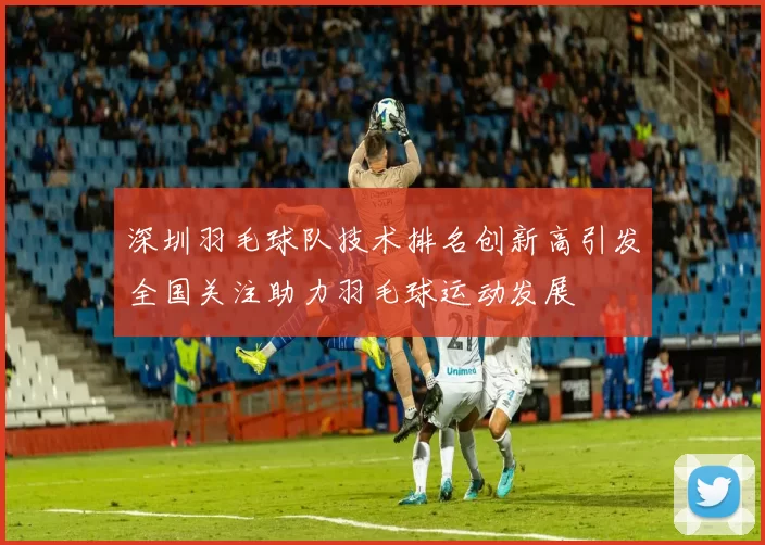 深圳羽毛球队技术排名创新高引发全国关注助力羽毛球运动发展
