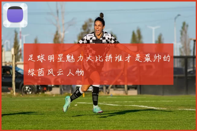 足球明星魅力大比拼谁才是最帅的绿茵风云人物