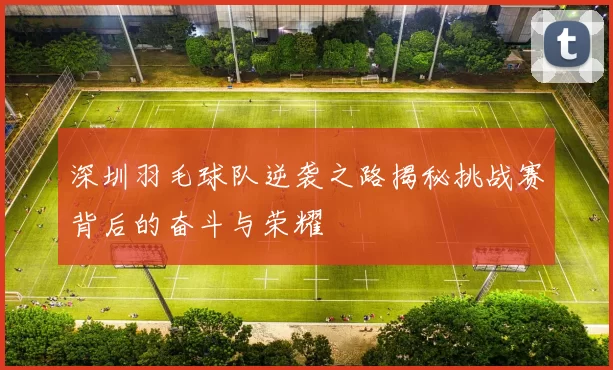 深圳羽毛球队逆袭之路揭秘挑战赛背后的奋斗与荣耀