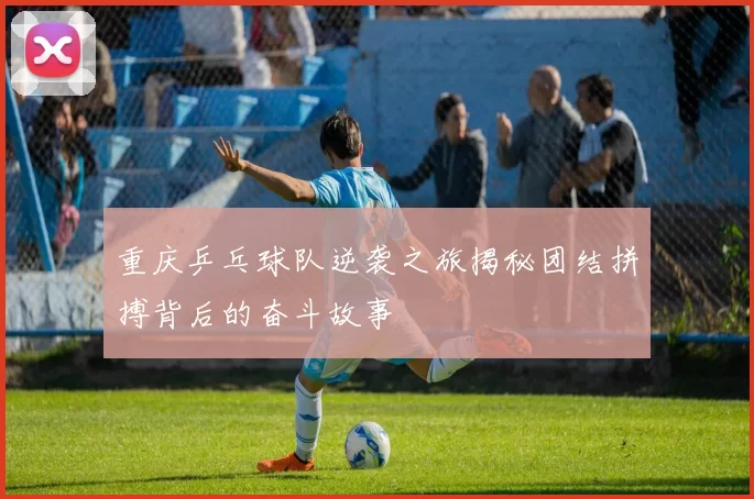重庆乒乓球队逆袭之旅揭秘团结拼搏背后的奋斗故事