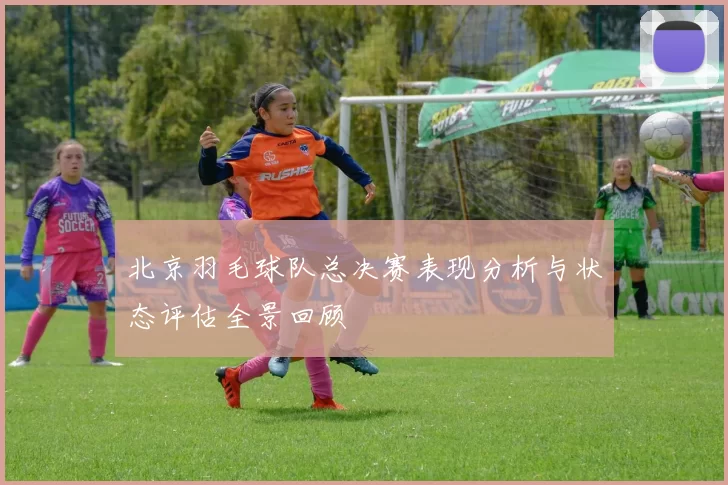 北京羽毛球队总决赛表现分析与状态评估全景回顾