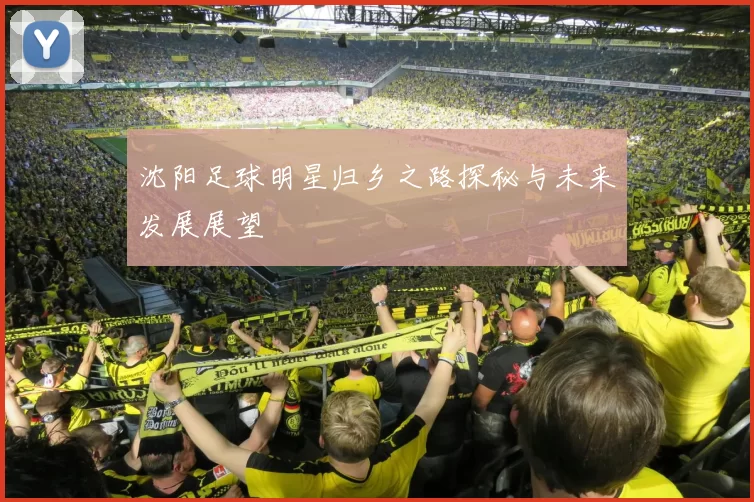 沈阳足球明星归乡之路探秘与未来发展展望