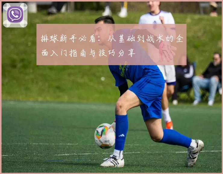 排球新手必看：从基础到战术的全面入门指南与技巧分享