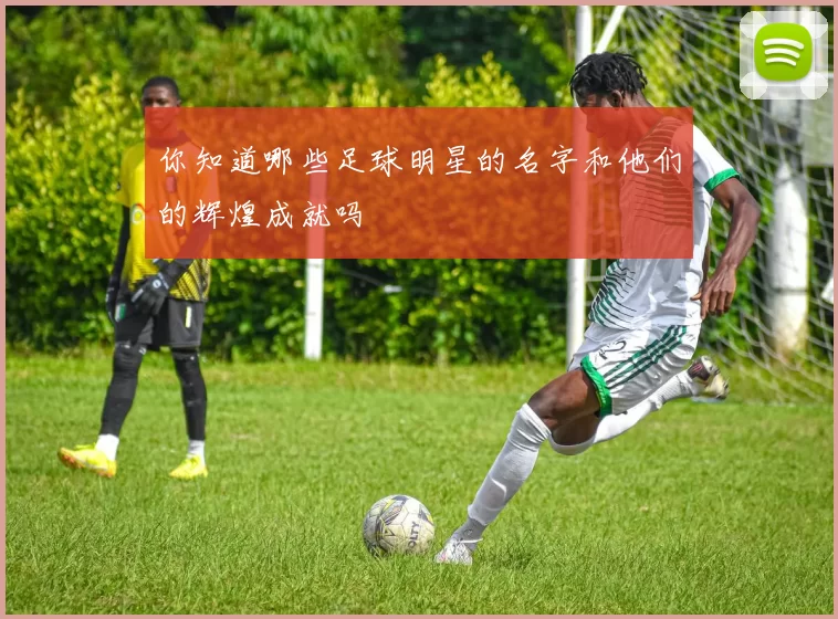 你知道哪些足球明星的名字和他们的辉煌成就吗