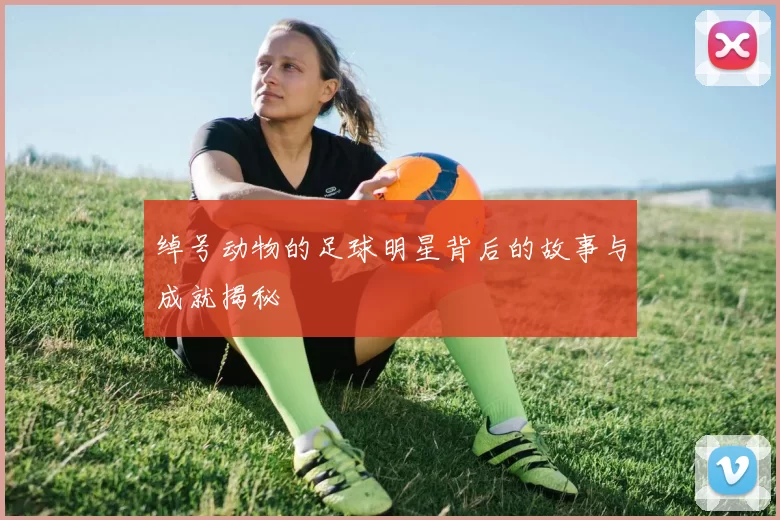 绰号动物的足球明星背后的故事与成就揭秘