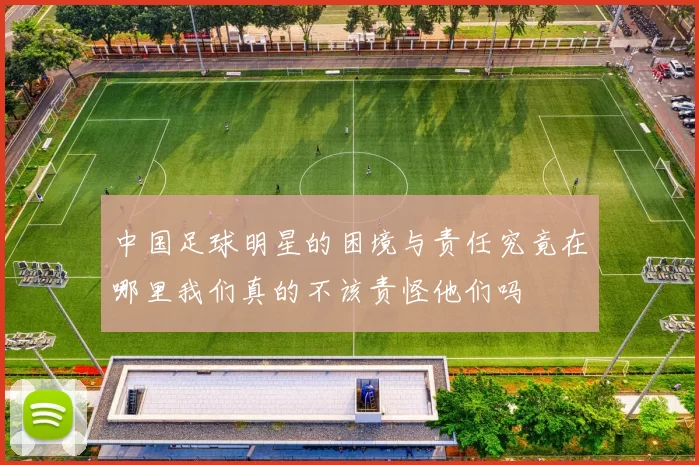 中国足球明星的困境与责任究竟在哪里我们真的不该责怪他们吗
