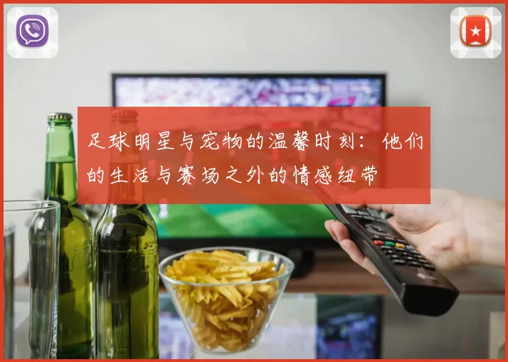 足球明星与宠物的温馨时刻：他们的生活与赛场之外的情感纽带