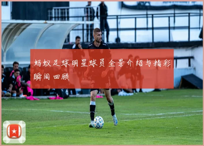 蚂蚁足球明星球员全景介绍与精彩瞬间回顾