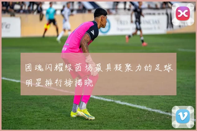 团魂闪耀绿茵场最具凝聚力的足球明星排行榜揭晓