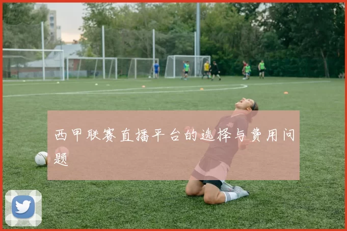 西甲联赛直播平台的选择与费用问题