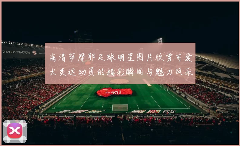 高清萨摩耶足球明星图片欣赏可爱犬类运动员的精彩瞬间与魅力风采