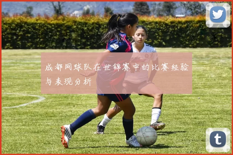 成都网球队在世锦赛中的比赛经验与表现分析