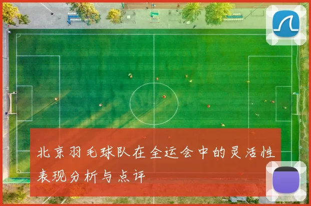 北京羽毛球队在全运会中的灵活性表现分析与点评