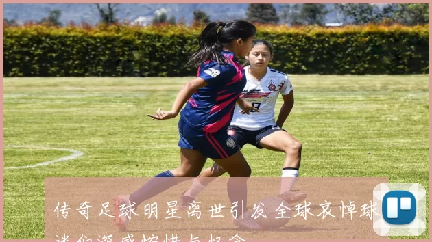 传奇足球明星离世引发全球哀悼球迷们深感惋惜与怀念